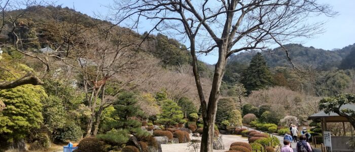 三室戸寺の庭園遊歩道と遠景の山々
