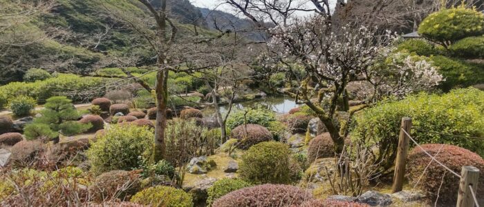 三室戸寺庭園の池と美しく剪定された植栽