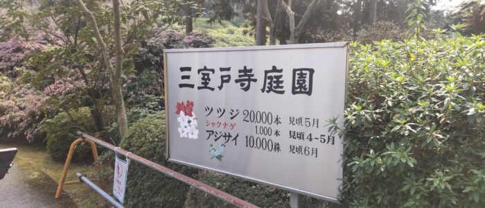 三室戸寺庭園の案内板と周辺の花々