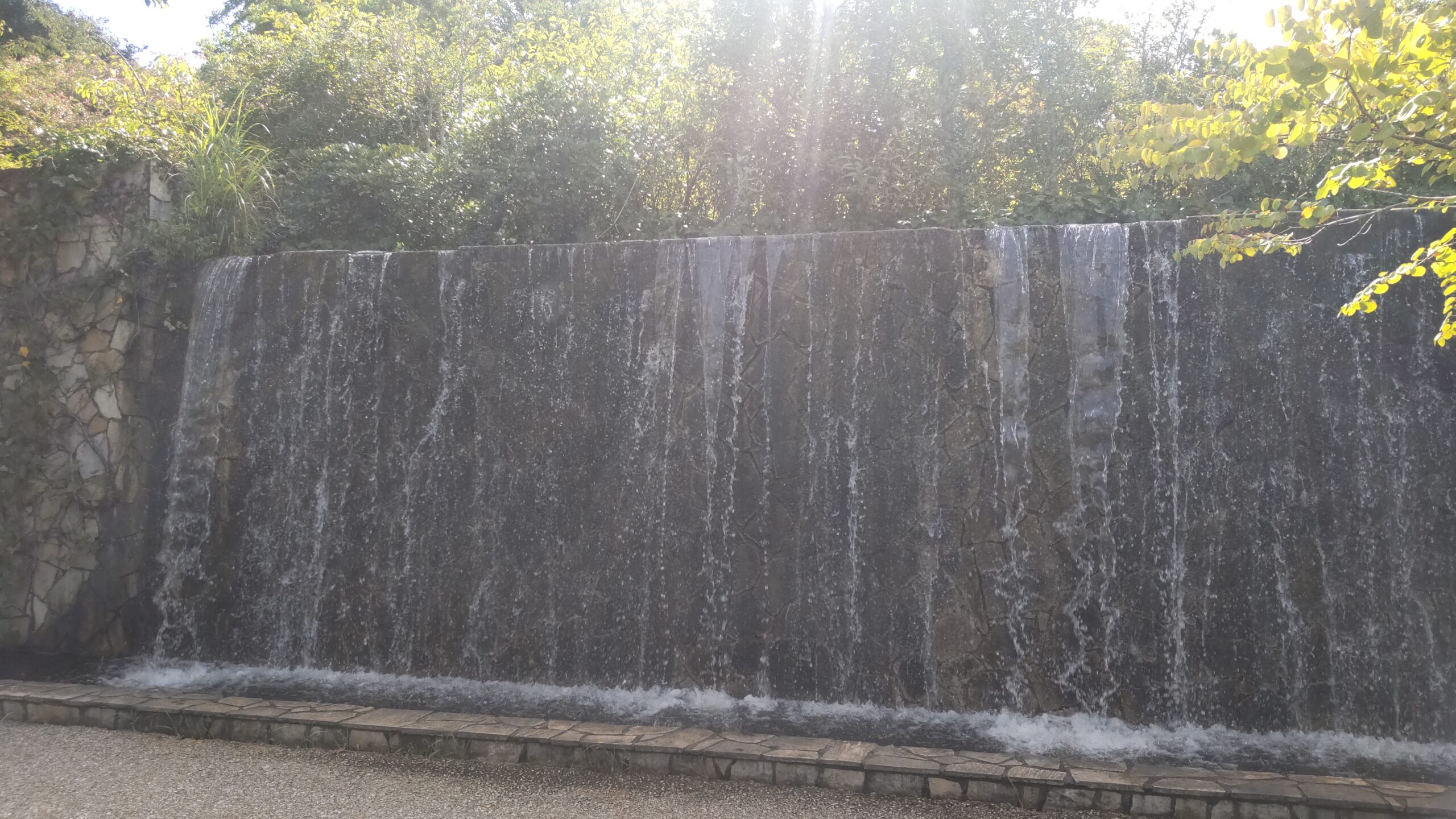 水の庭にある滝