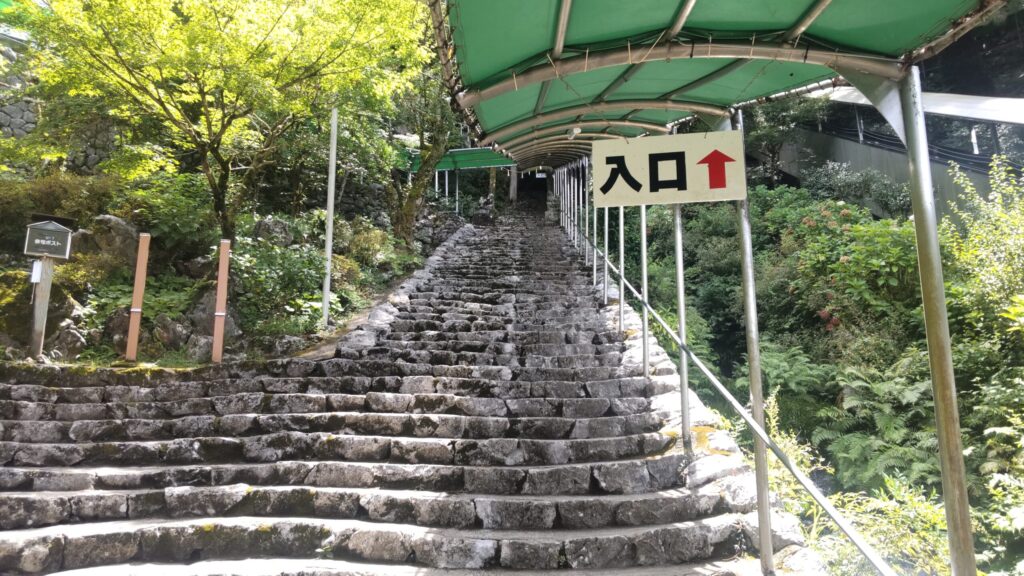龍河洞入口へ続く石段と緑のトンネル