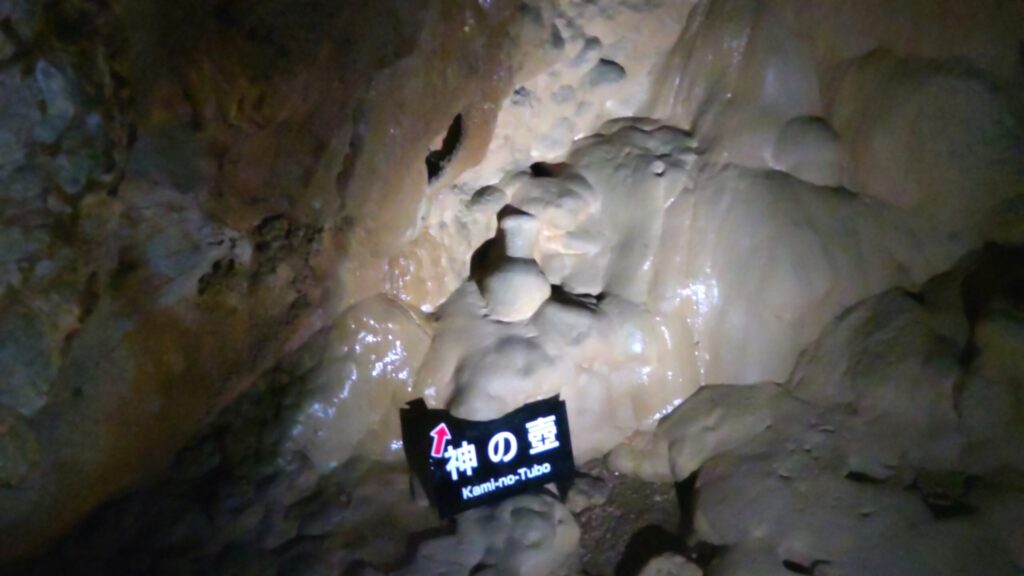鍾乳石と一体化した「神の壺」の実物展示