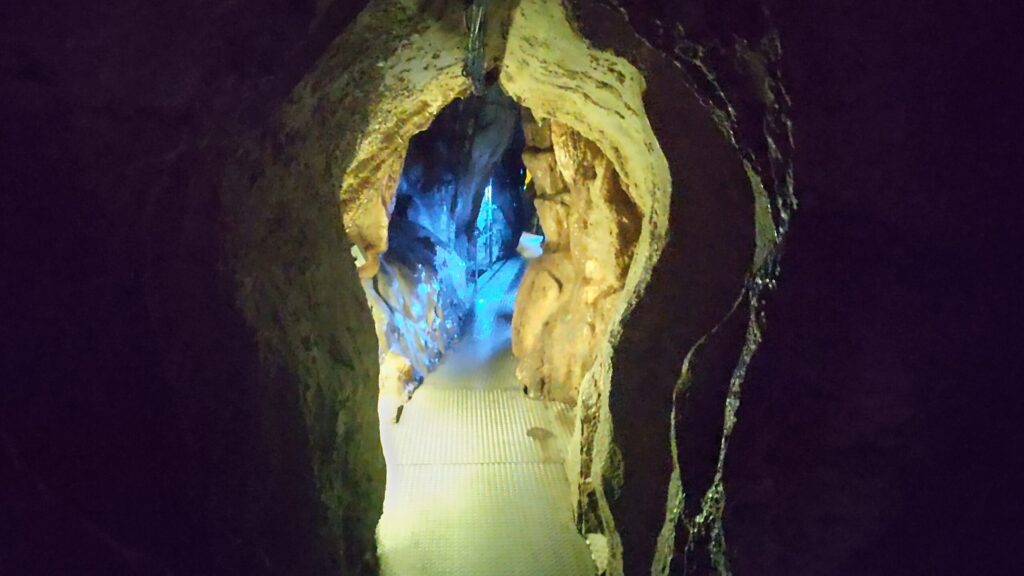 青い照明に照らされた龍河洞の通路